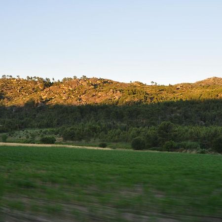Вілла Pinheirinhos - Quinta De Sao Caetano Carapito Екстер'єр фото