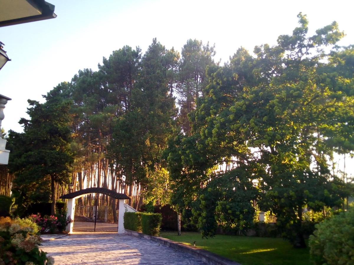 Вілла Pinheirinhos - Quinta De Sao Caetano Carapito Екстер'єр фото