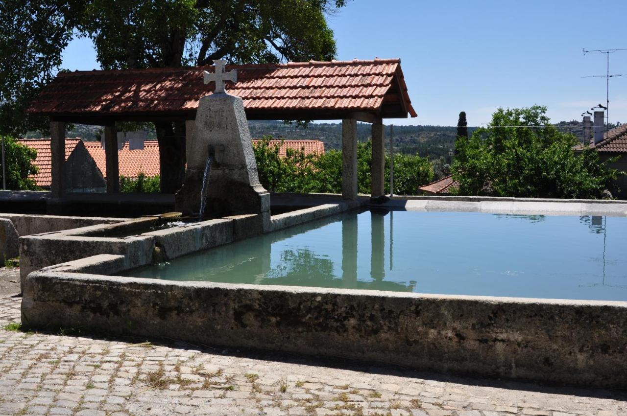 Вілла Pinheirinhos - Quinta De Sao Caetano Carapito Екстер'єр фото