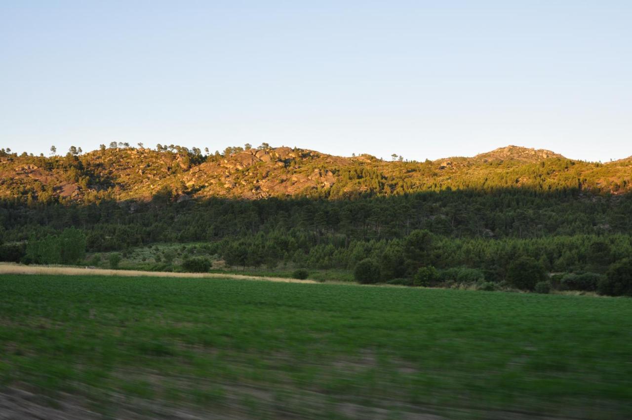 Вілла Pinheirinhos - Quinta De Sao Caetano Carapito Екстер'єр фото