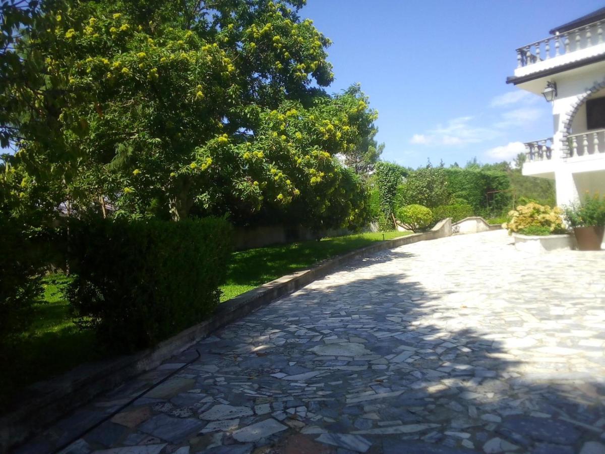 Вілла Pinheirinhos - Quinta De Sao Caetano Carapito Екстер'єр фото
